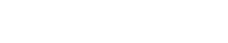 White FlameTech Logo
